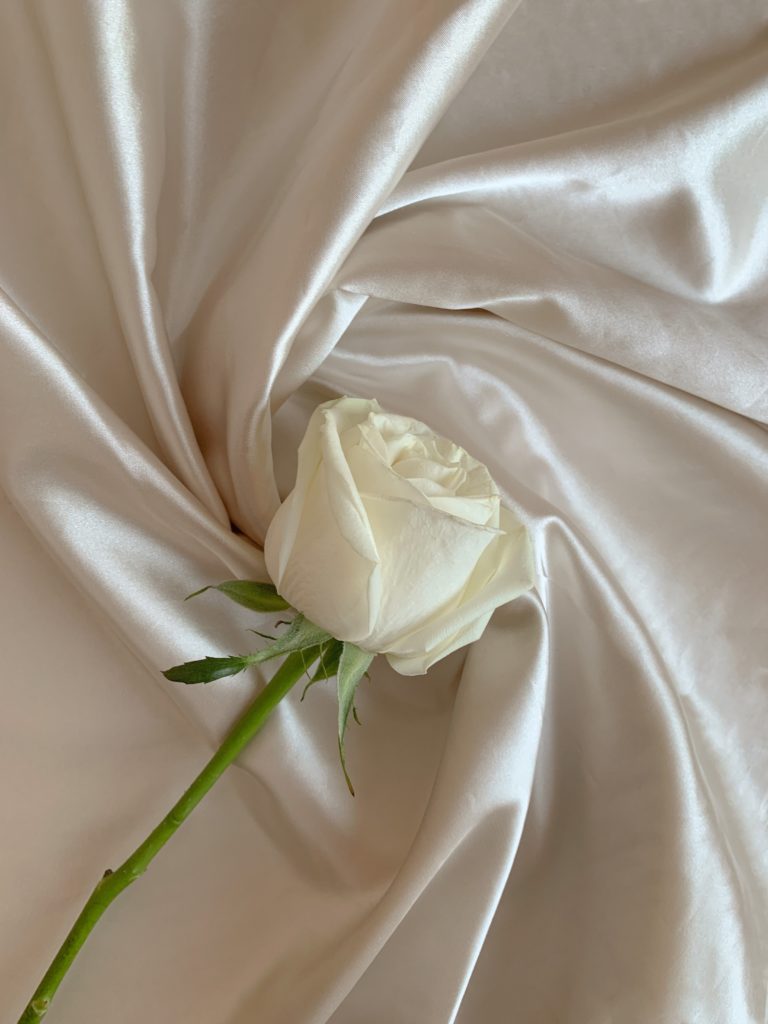 Fleur de rose blanche sur un tissue blanc