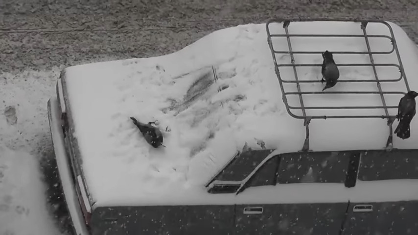 Trois corbeaux noirs perchés sur une voiture couverte de neige, symbolisant la complexité et la profondeur de la signification spirituelle du corbeau dans le titre 'Corbeau sur une voiture : Signification spirituelle