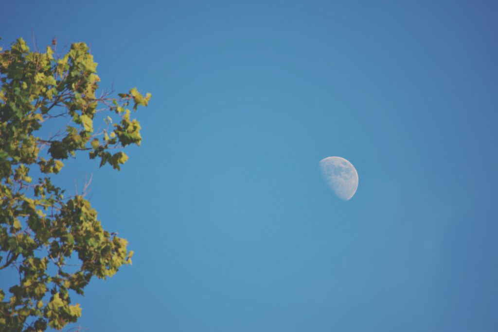 Image captivante d'une demi-lune clairement visible dans le ciel diurne. Son aspect argenté se détache sur le fond bleu vif du ciel, créant un contraste saisissant. Cette image rappelle l'unicité de la demi-lune, sa présence à la fois énigmatique et rassurante, même en plein jour. Elle illustre sa signification spirituelle en tant que symbole d'équilibre, de transformation et d'introspection, nous invitant à réfléchir à sa symbolique et à son rôle dans nos vies.
