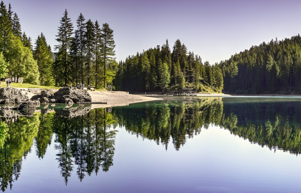 Réflexion sereine de la forêt dense dans l'eau calme de la mer, symbolisant la mer comme un miroir de l'inconscient.