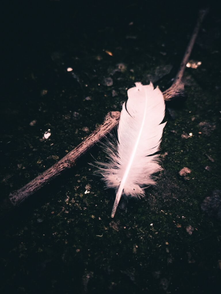 Plume blanche éclatante trouvée sur le sol, symbolisant l'expérience de découvrir une plume à l'intérieur de sa maison et explorant sa signification spirituelle, thème principal de l'article