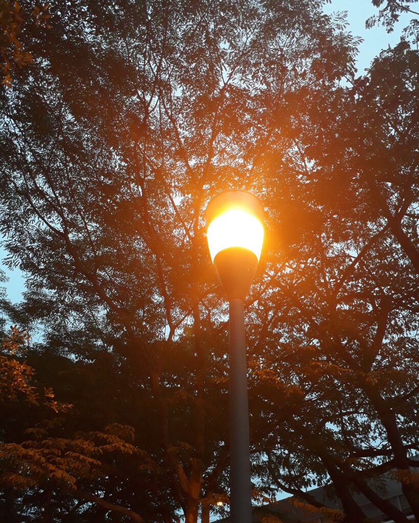 Une seule lampe de rue brillamment allumée dans l'obscurité, représentant la signification spirituelle d'une lampe de rue qui s'allume toute seule.
