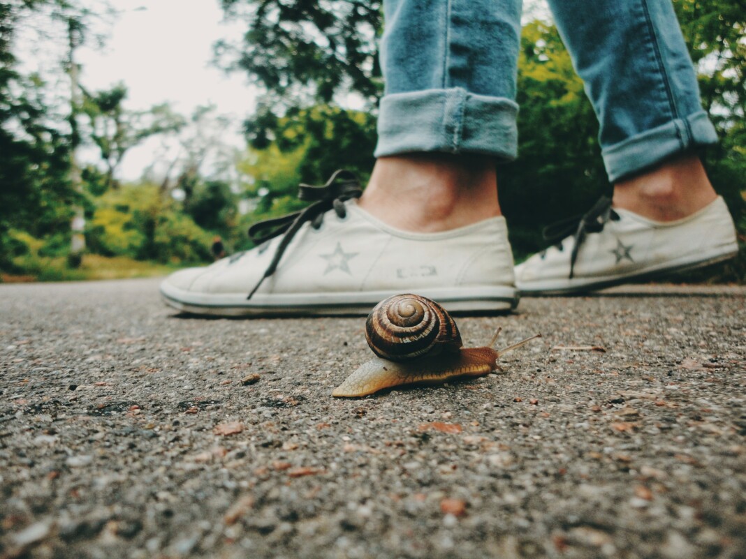 Un pied humain en action, sur le point de marcher involontairement sur un petit escargot qui se déplace lentement sur le sol, illustrant le concept d'écraser un escargot et sa signification spirituelle