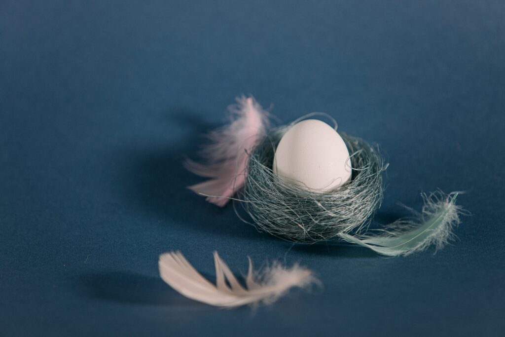 Un œuf solitaire reposant délicatement dans un nid naturel à la surface de la terre, évoquant des sensations d'origine, de protection et de potentialité sous le thème du symbole ancestral