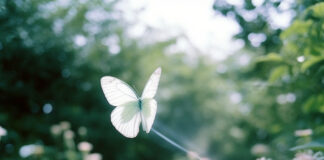 Un papillon blanc majestueux volant dans une forêt luxuriante, symbolisant la transformation et la pureté.