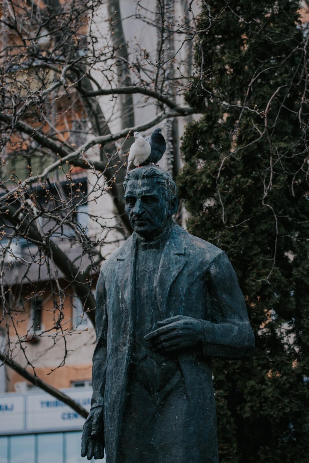 Deux pigeons perchés sur une statue de pierre représentant un personnage historique, la tête de la statue ornée de taches blanches de fiente de pigeon, évoquant une rencontre ludique entre l'art et la nature.