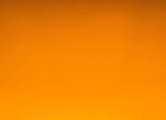 Coucher de soleil vibrant, illuminant le ciel d'une teinte orange chaleureuse, symbolisant le renouveau et l'optimisme